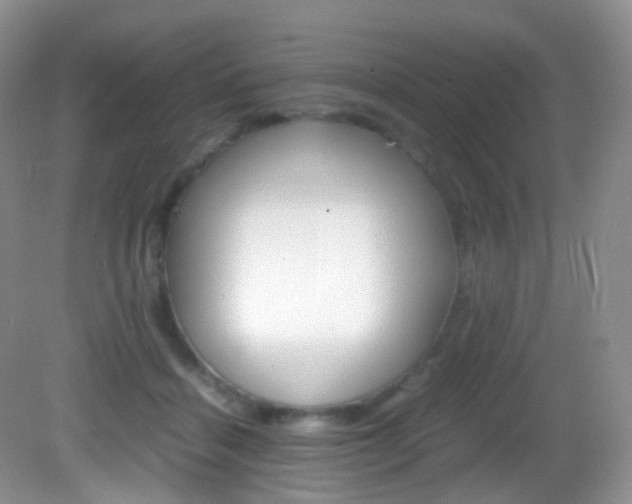 X0000082940460200702011116