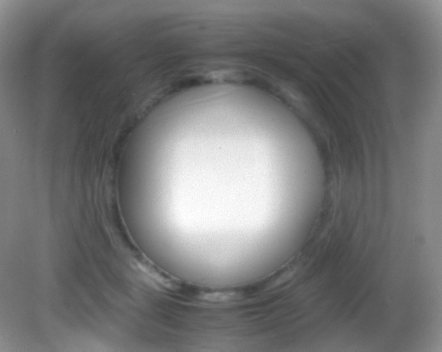 X0000082940461200702011116