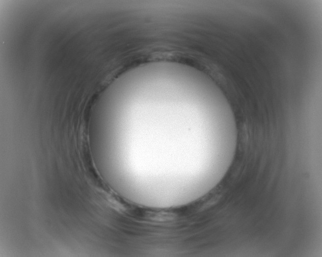 X0000082940463200702011116