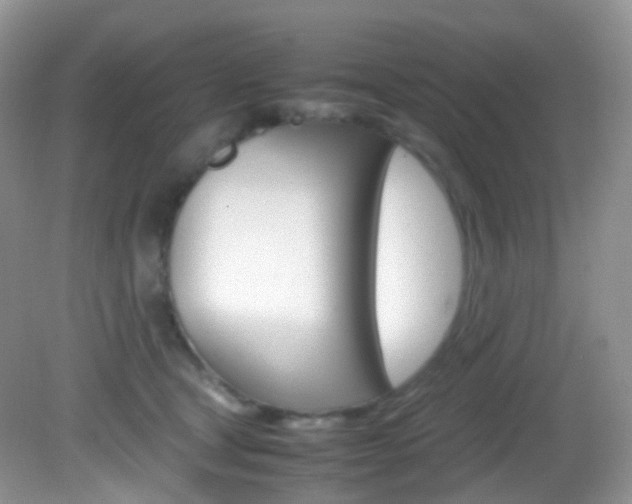 X0000082940465200702011116