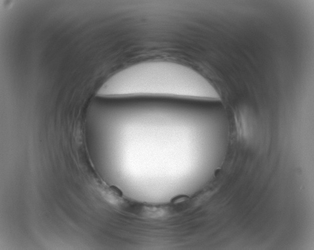 X0000082940469200702011116