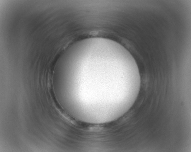 X0000082940470200702011116