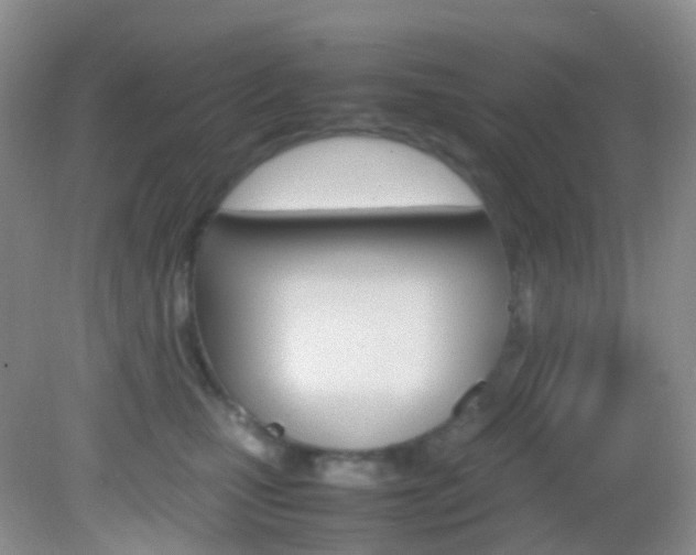 X0000082940471200702011116