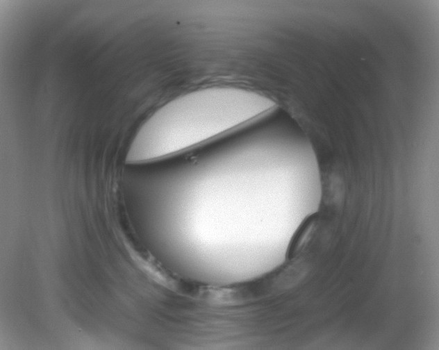 X0000082940472200702011116