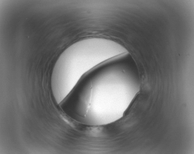 X0000082940474200702011117