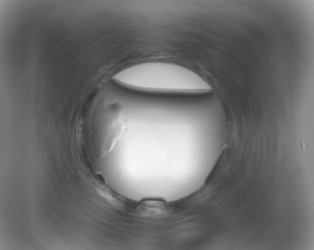 X0000082940475200702011117