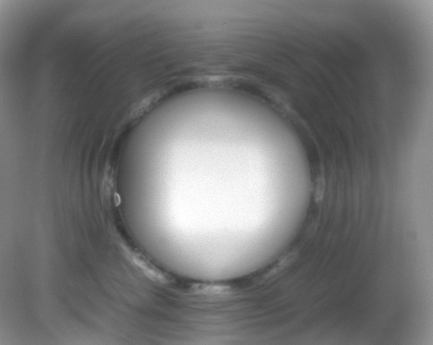 X0000082940476200702011117