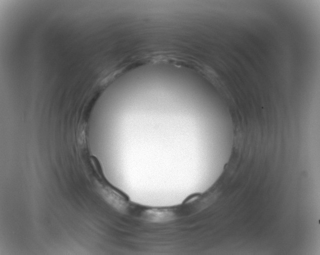 X0000082940477200702011117