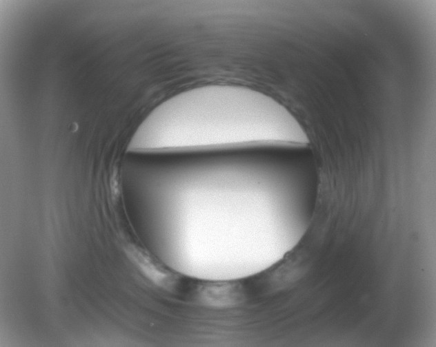 X0000082940479200702011117