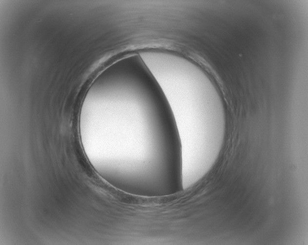 X0000082940483200702011116