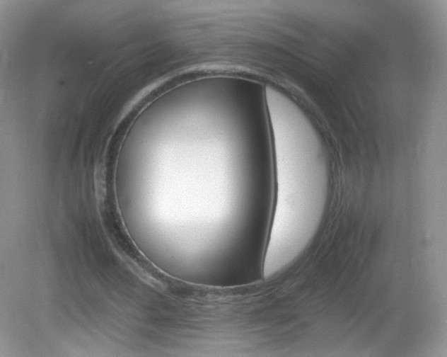 X0000082940484200702011116