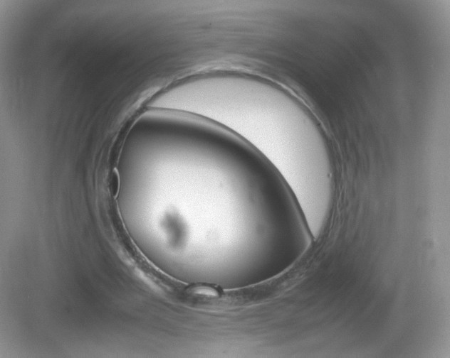 X0000082940485200702011116