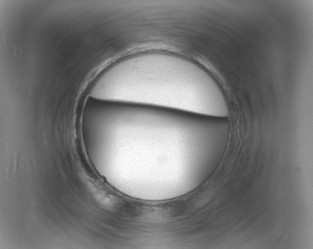 X0000082940486200702011116