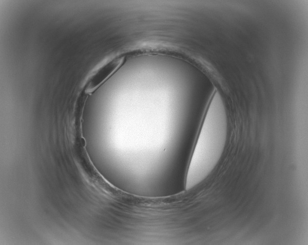 X0000082940488200702011116