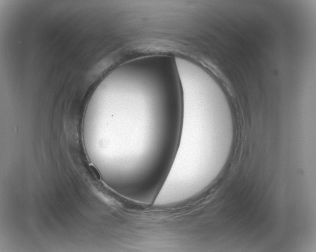 X0000082940489200702011116