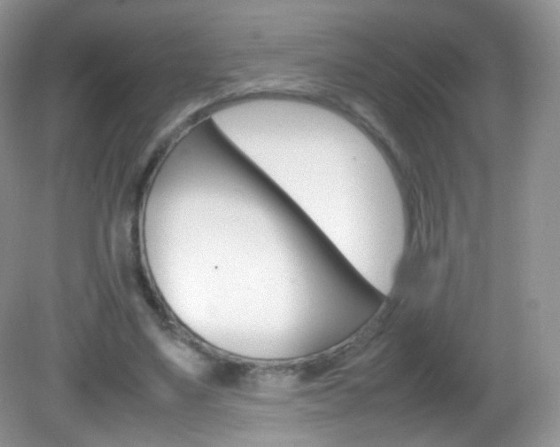 X0000082940491200702011116