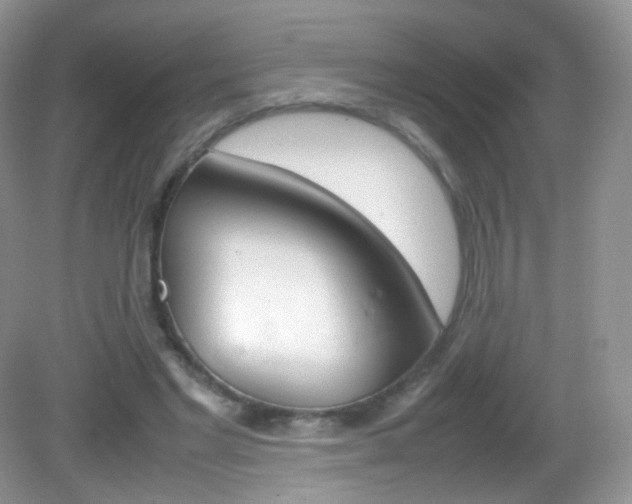 X0000082940493200702011116