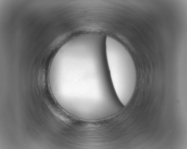 X0000082940494200702011116