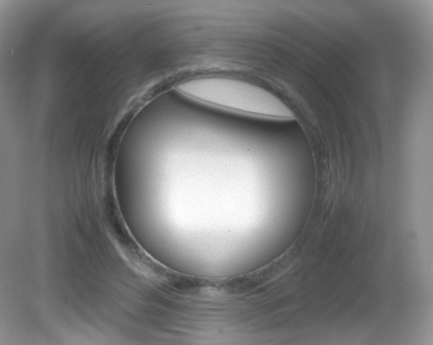 X0000082940496200702011116