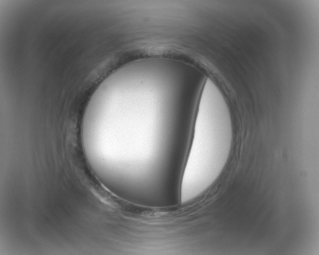 X0000082940497200702011116