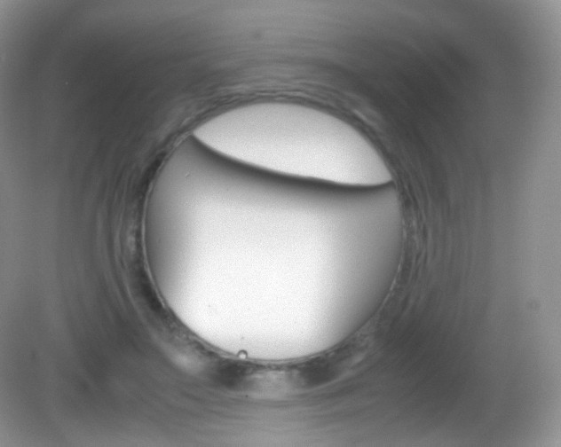 X0000082940499200702011115