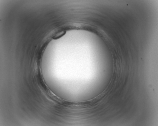 X0000082940500200702011115