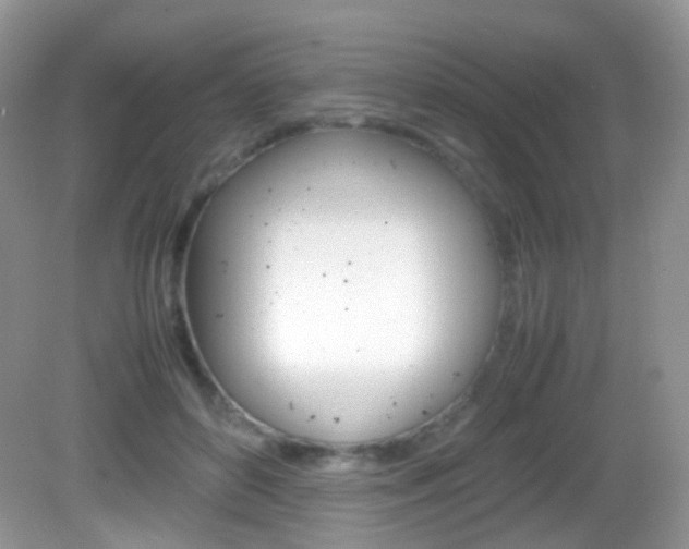 X0000082940504200702011115