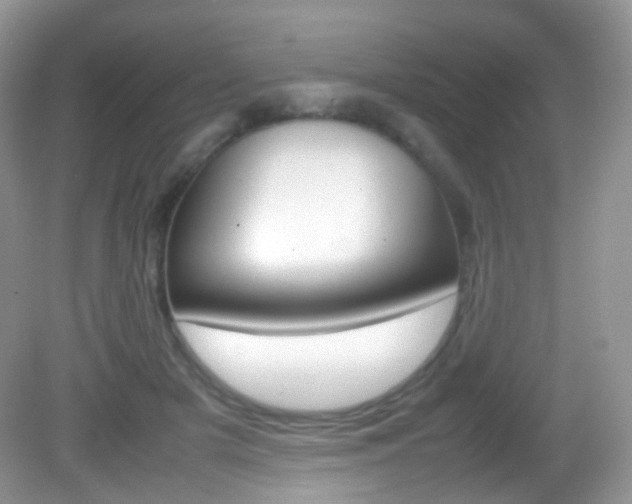 X0000082940505200702011115