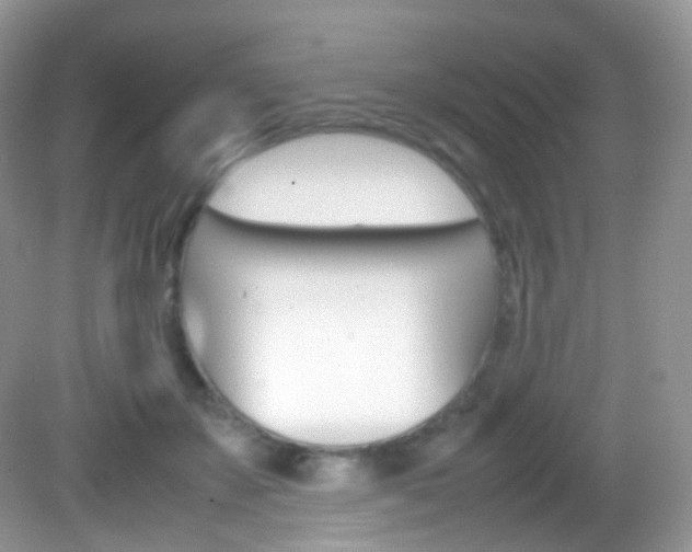 X0000082940507200702011115