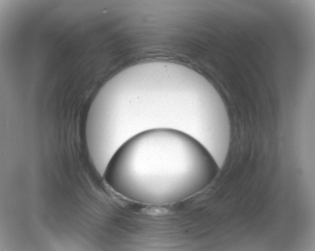 X0000082940512200702011115