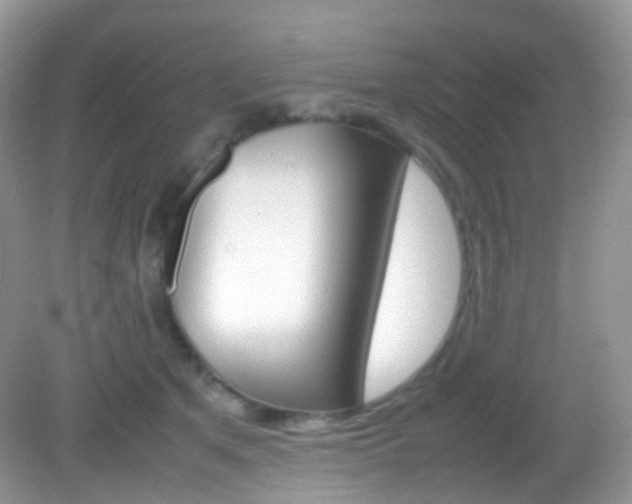 X0000082940513200702011115