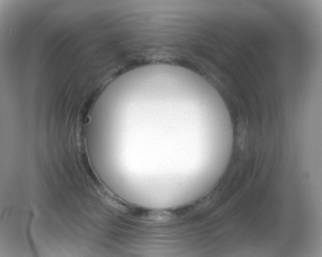 X0000082940514200702011115