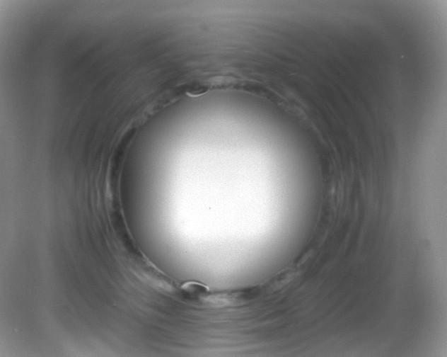 X0000082940516200702011115