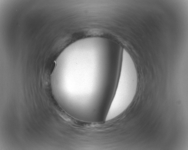 X0000082940517200702011115