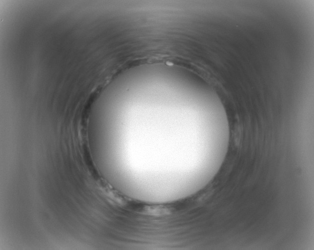 X0000082940520200702011115