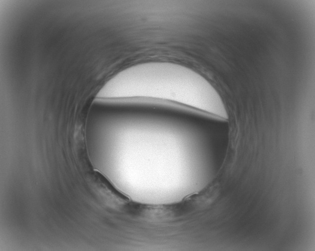 X0000082940521200702011115