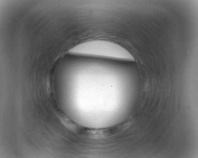 X0000082940524200702011115