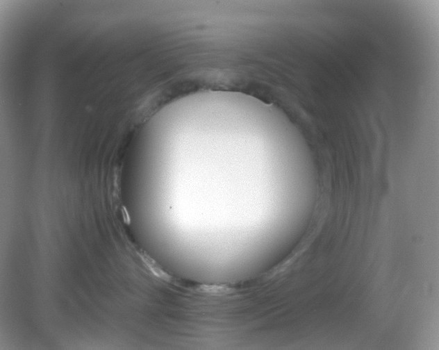 X0000082940528200702011115