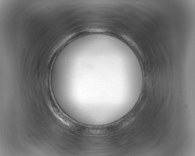X0000082940533200702011114