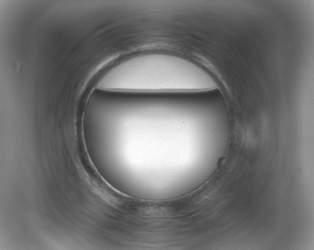 X0000082940535200702011114