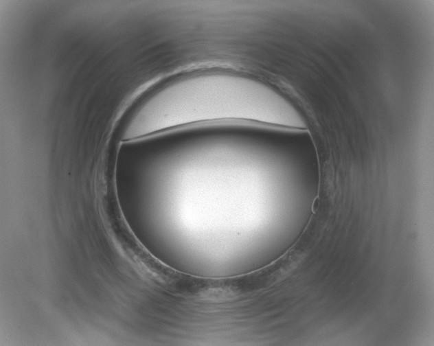 X0000082940536200702011114