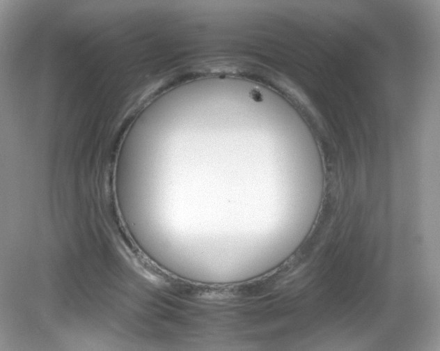 X0000082940537200702011114