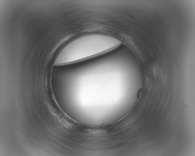 X0000082940539200702011114