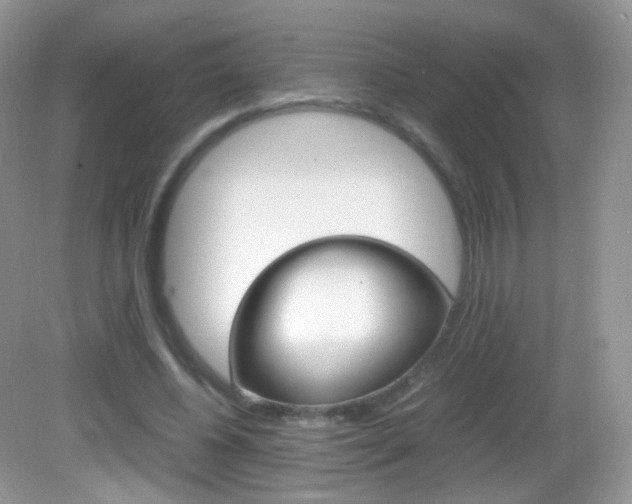 X0000082940540200702011114