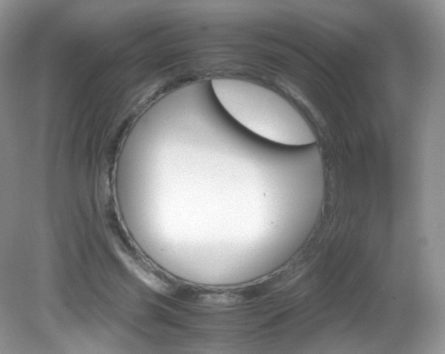 X0000082940541200702011114