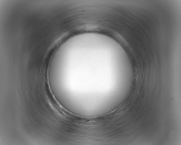 X0000082940542200702011114