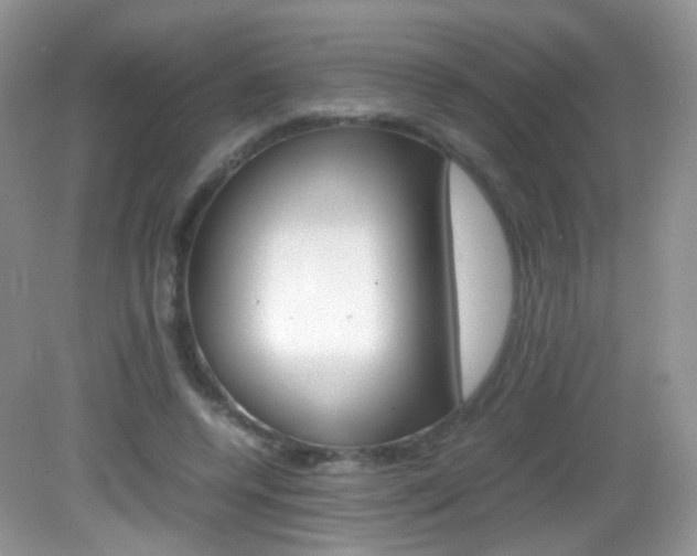 X0000082940544200702011114