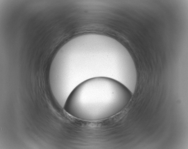 X0000082940546200702011114