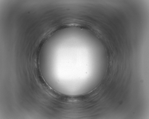 X0000082940547200702011114