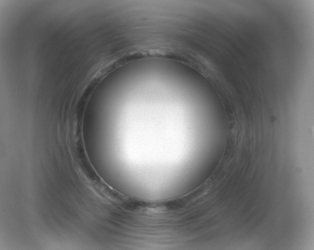 X0000082940548200702011115